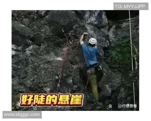 上海攀岩队的阵地战揭秘：探索攀岩深度与团队精神的完美结合