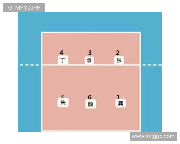 北京排球队的战术转型与深度分析探讨排球运动的未来发展路径
